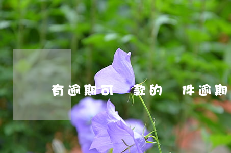 有逾期可貸款的軟件(逾期也可以貸款的軟件)