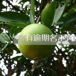 有逾期名下有車能貸款嗎(貸款有逾期能辦車貸嗎)