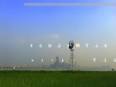 有逾期后多久可以借網(wǎng)貸(網(wǎng)貸可以逾期多久?)