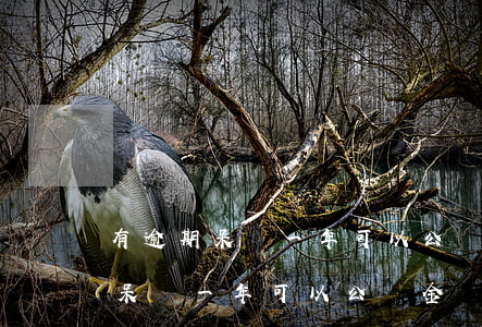 有逾期呆賬一年可以公積金貸款嗎-有逾期呆賬一年可以公積金貸款嗎