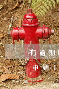有逾期哪個(gè)網(wǎng)貸可以申請(qǐng)(網(wǎng)貸逾期哪個(gè)平臺(tái)還能借款)
