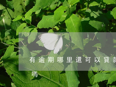 有逾期哪里還可以貸款(近期有逾期可以貸款嗎)