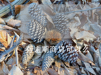 有逾期商貸可以么