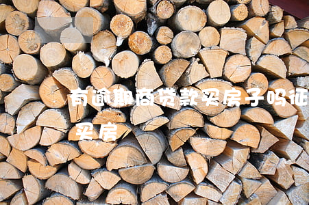 有逾期商贷款买房子吗(征信有逾期可以贷款买房)