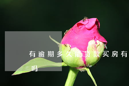 有逾期多久能贷款买房(有逾期买房贷款能过吗?)