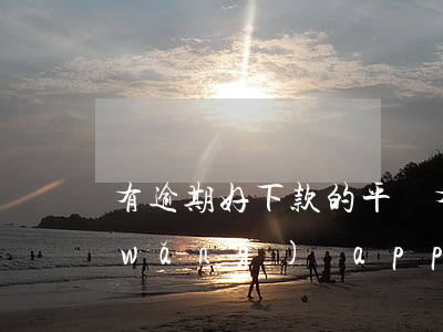 有逾期好下款的平臺(有逾期容易下款的網(wǎng)貸app)