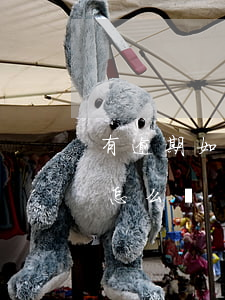 有逾期如何公積金貸款(公積金貸款顯示逾期怎么辦)