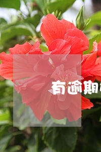 有逾期如何房貸(房貸如果逾期了怎么辦)