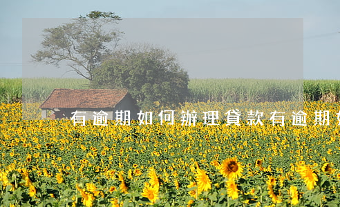 有逾期如何辦理貸款(有逾期如何辦理貸款)