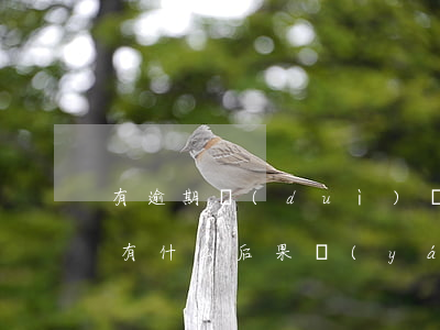 有逾期對(duì)貸款有影響嗎(貸款逾期有什么后果嚴(yán)重)