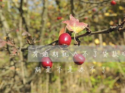 有逾期就办不了贷款吗(近期办贷款近期有逾期是不是办不了)