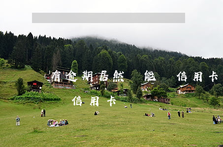 有逾期居然還能辦信用卡(為什么逾期了還能辦信用卡)