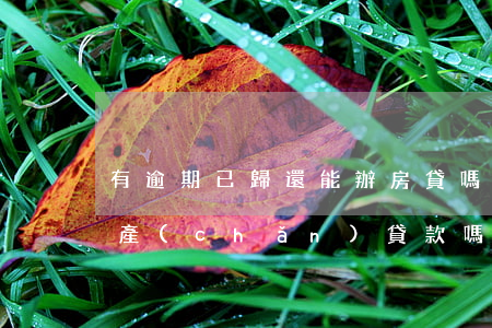 有逾期已歸還能辦房貸嗎(有逾期還可以做房產(chǎn)貸款嗎)