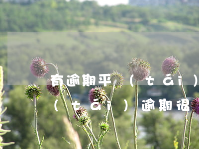 有逾期平臺(tái)不能貸款了(什么平臺(tái)逾期很嚴(yán)重也可以貸款)