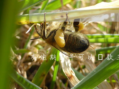 有逾期幾年可以貸款(三年前有逾期能否貸款)