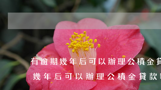 有逾期幾年后可以辦理公積金貸款-有逾期幾年后可以辦理公積金貸款嗎