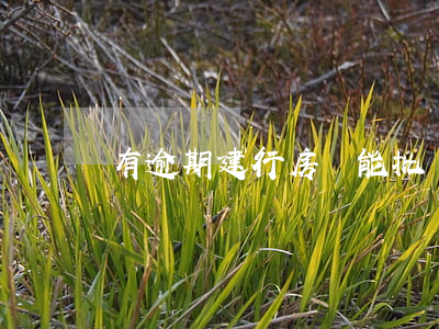 有逾期建行房貸能批嗎(有逾期建行房貸能批嗎)