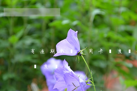 有逾期影響信用卡額度嗎(逾期會影響信用卡額度嗎?)
