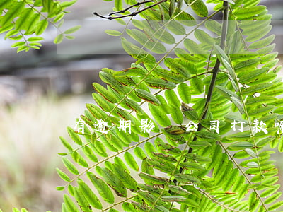 有逾期影響公司打款嘛(逾期會打電話給公司嗎)