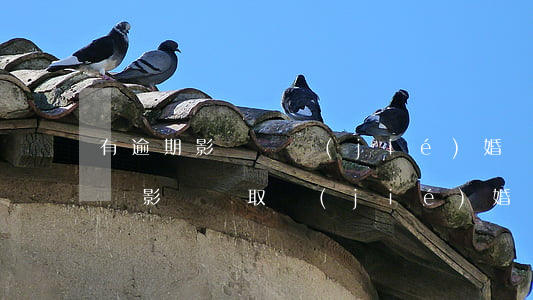 有逾期影響領結(jié)婚證嗎，逾期是否會影響領取結(jié)婚證？
