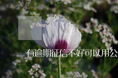 有逾期征信不好可以用公積金嗎-