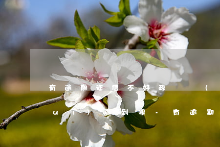 有逾期征信不好政審報(bào)告會(huì)查到嘛-有逾期征信不好政審報(bào)告會(huì)查到嘛