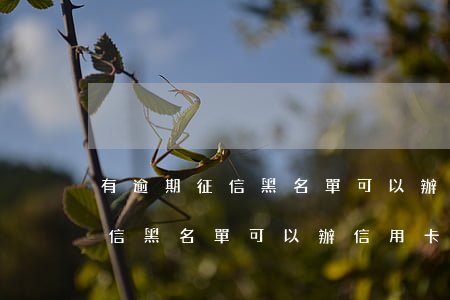 有逾期征信黑名單可以辦信用卡-有逾期征信黑名單可以辦信用卡嗎