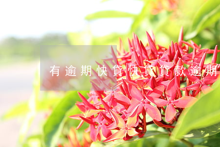 有逾期快貸,快貸貸款逾期 有逾期快貸,快貸貸款逾期