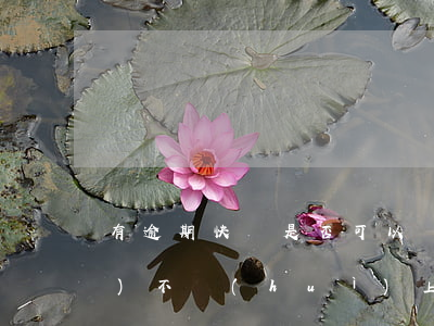 有逾期快貸是否可以貸(快貸逾期會(huì)不會(huì)上門)