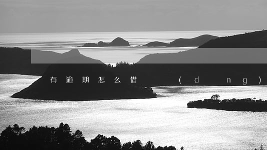 有逾期怎么借錢(當(dāng)前有逾期怎么借錢)