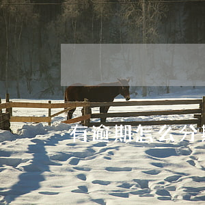 有逾期怎么分期貸款(分期逾期了怎么解決)