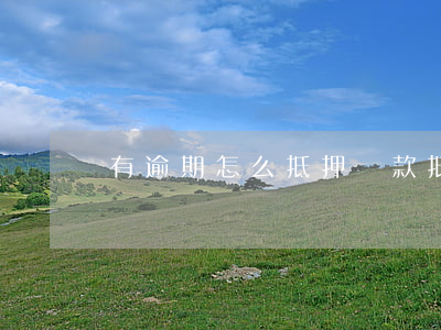 有逾期怎么抵押貸款(抵押逾期怎么處理)