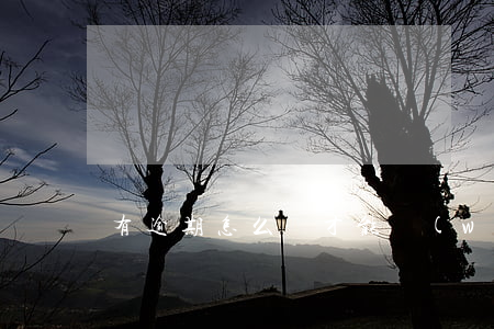 有逾期怎么樣才能網(wǎng)貸