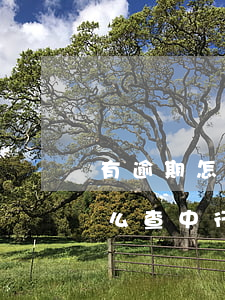 有逾期怎么申請(qǐng)中行信用卡(怎么查中行信用卡逾期)