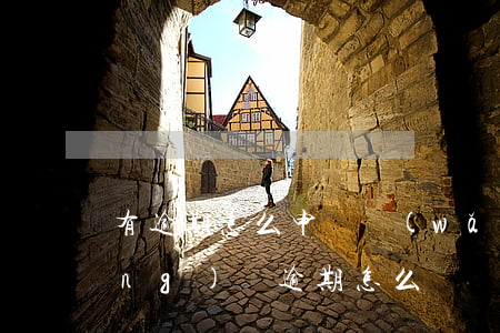 有逾期怎么申請網(wǎng)貸(網(wǎng)貸逾期怎么辦)