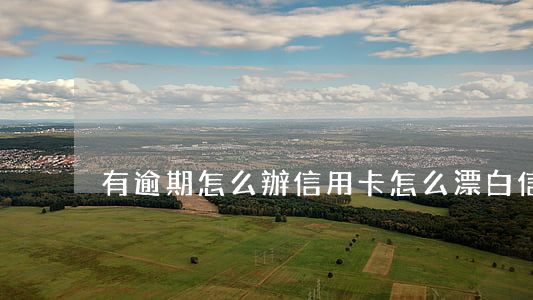 有逾期怎么辦信用卡（怎么漂白信用卡逾期）
