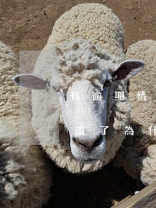有逾期情況為什么還能申請到信用卡（信用卡還了為什么么逾期）