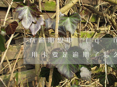 有逾期想申請(qǐng)信用卡怎么弄(信用卡要是逾期了怎么辦)