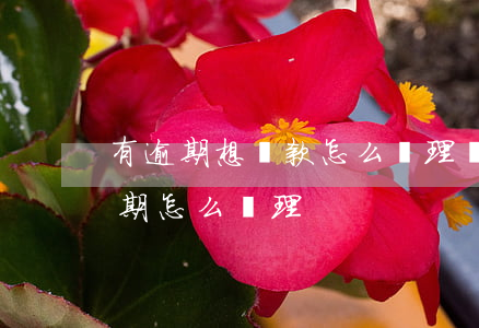 有逾期想貸款怎么處理(貸款發(fā)生逾期,怎么處理)