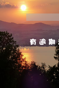 有逾期想貸款買車怎么辦(貸款逾期可以買車嗎)