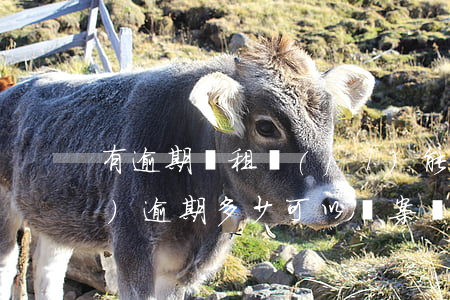 有逾期愛租機(jī)能過嗎（愛租機(jī)逾期多少可以備案訴訟）