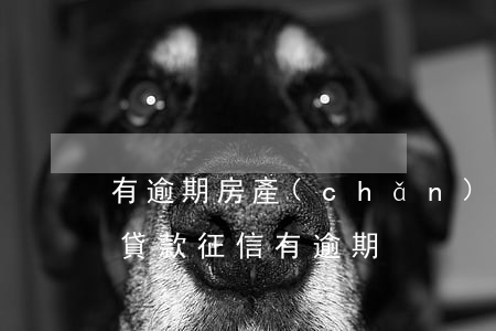 有逾期房產(chǎn)抵押貸款(抵押房子貸款征信有逾期)