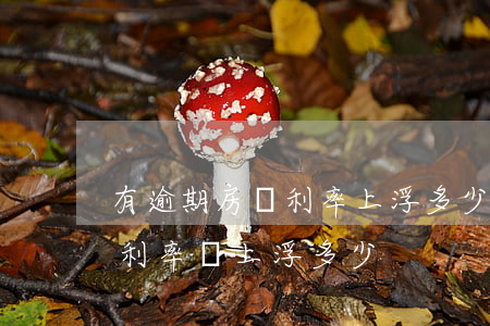 有逾期房貸利率上浮多少(征信逾期按揭貸款利率會上浮多少)