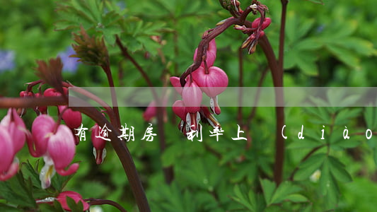 有逾期房貸利率上調(diào)多少