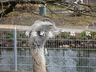 有逾期房貸還能貸款嗎(有逾期還能辦房貸嗎)