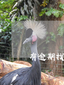 有逾期找工作(有逾期找工作會給工作單位打電話嗎)