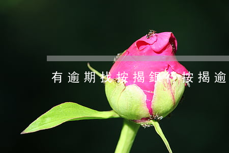 有逾期找按揭(銀行按揭逾期)