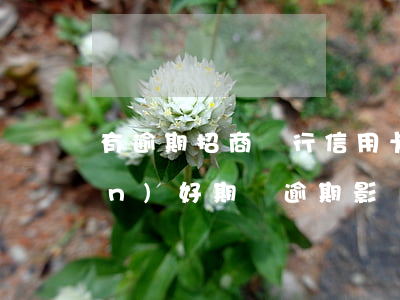 有逾期招商銀行信用卡好辦嗎(招聯(lián)好期貸逾期影響招商銀行信用卡嗎)
