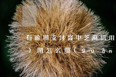 有逾期支付寶中芝麻信用如何關(guān)閉(怎么關(guān)閉支付寶的芝麻信用)