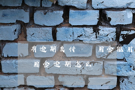 有逾期支付寶備用金能用嗎-支付寶上的備用金逾期怎么辦